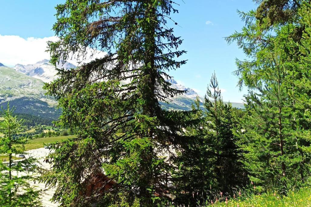 Appartement Duplex Au Pied Des Pistes Ле-Деволюи Экстерьер фото
